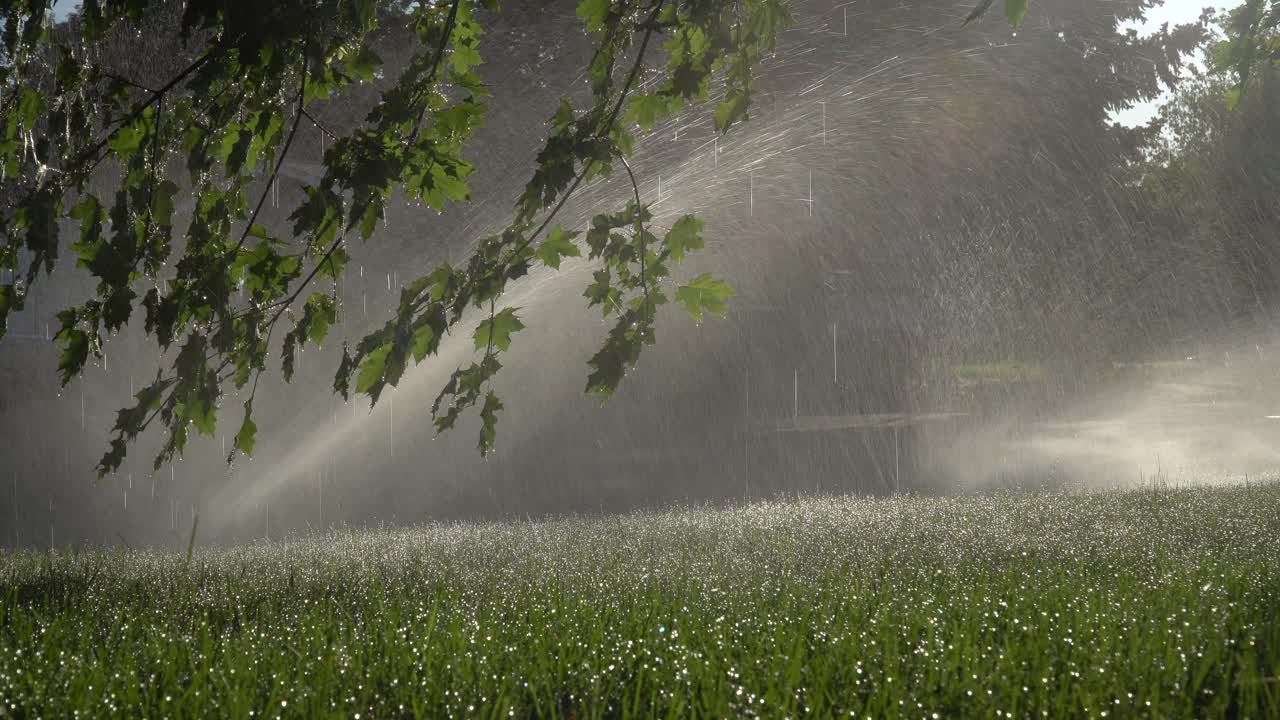 Sunrise through sprinklers in the suburbs - static