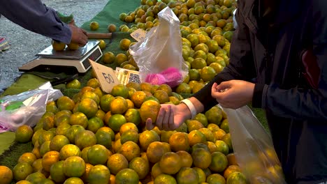 buying oranges at a bustling street market