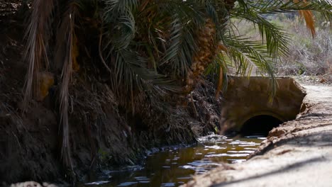 Wasser,-Das-In-Einem-Tropischen-Klima-Durch-Einen-Entwässerungsgraben-Fließt