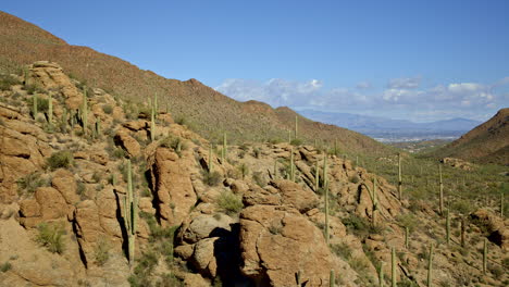 drone disparado volando sobre la montaña del desierto cubierto de cactus con tucson arizona en el valle en la distancia