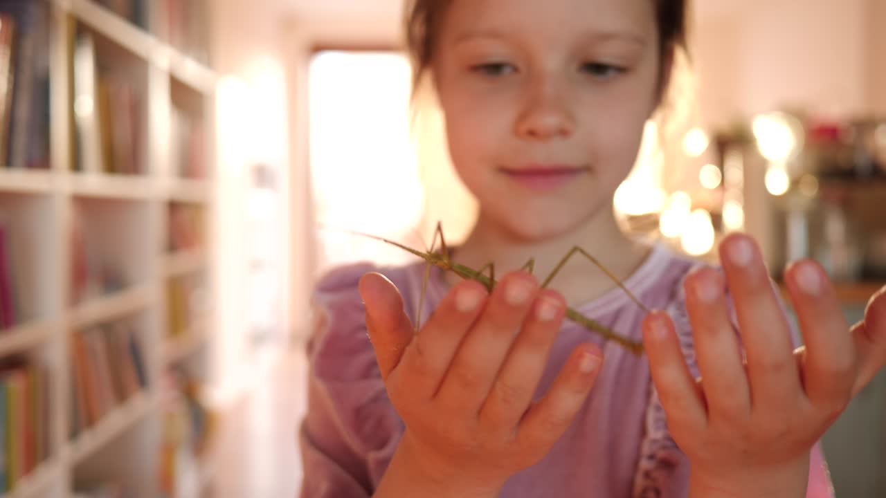 el retrato de una niña linda sostiene una mascota de insecto en las manos y se la pone en la cara en casa divertirse y sonreír