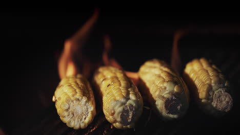 several cobs of corn are grilled