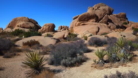 campamento de roca del cráneo parque nacional del árbol de joshua california árboles de yuca desierto de mohave colorado cielo azul soleado rocoso rocas escarpadas paisaje de montaña cactus sheephole valle fortynine palma alejarse lentamente