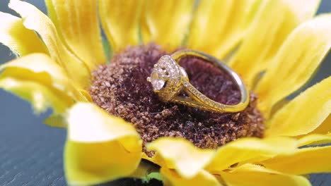 wedding ring placed on a sun flower with a light moving around it