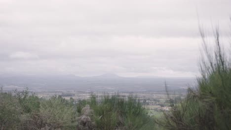 Wide-shot-of-green-landscape-with-plants-in-foreground