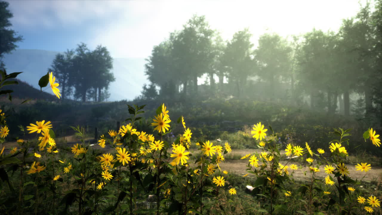 A serene forest path with yellow wildflowers and morning fog
