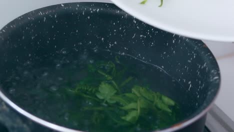 adding wild edible fiddlehead ferns or diplazium esculentum to a pot of boiling water to make pako salad, an authentic filipino local delicacy