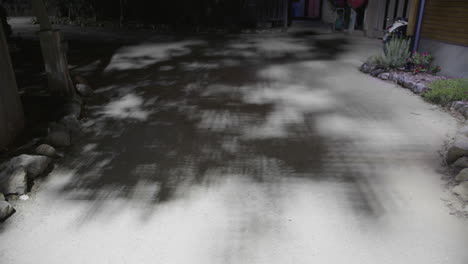 nighttime shadows on a gravel path