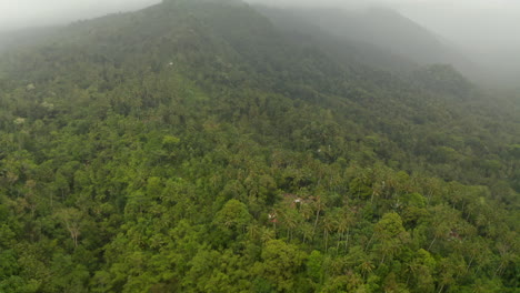 Small-rural-home-hidden-in-a-dense-rainforest-at-the-foot-of-a-fog-covered-mountain.-Aerial-view-of-isolated-house-in-the-jungle-surrounded-by-palm-trees-and-dense-vegetation
