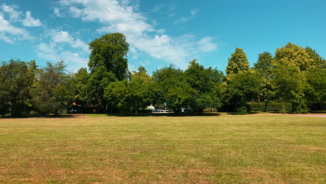 Grünes-Gras-Im-Park-Unter-Blauem-Himmel