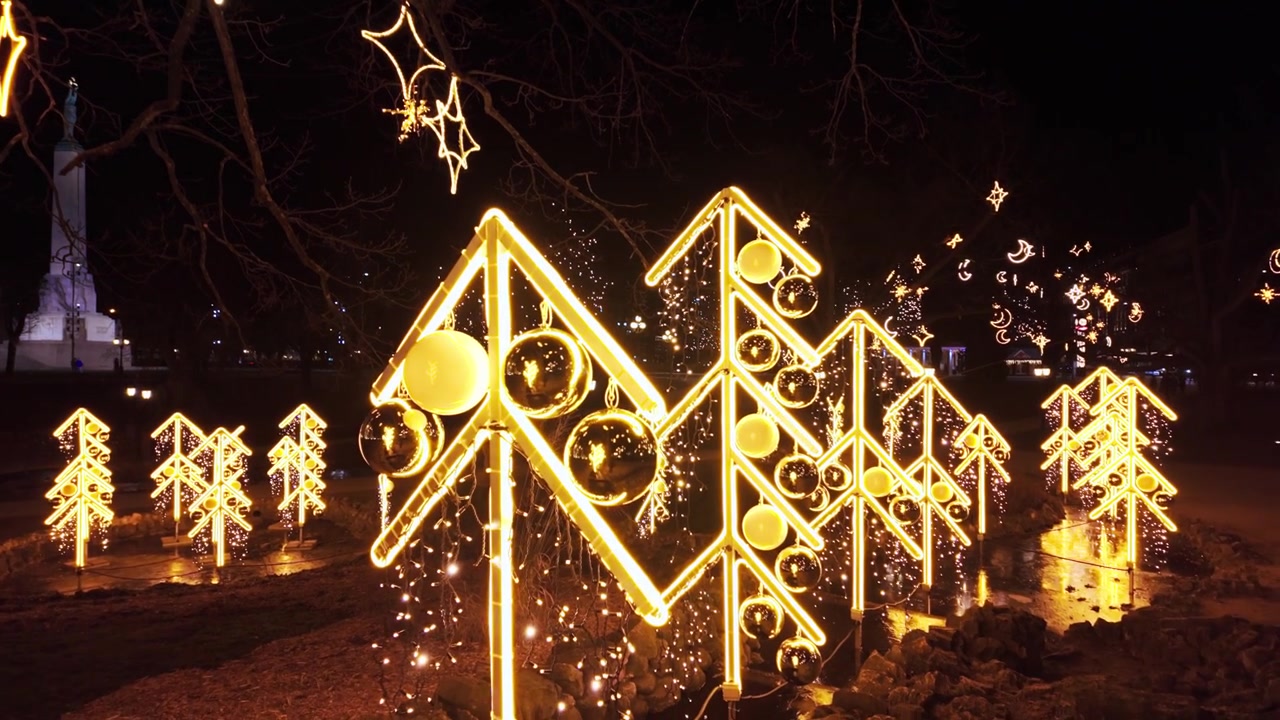 Festive light installations sparkle beneath ancient trees creating enchanting holiday scenery.