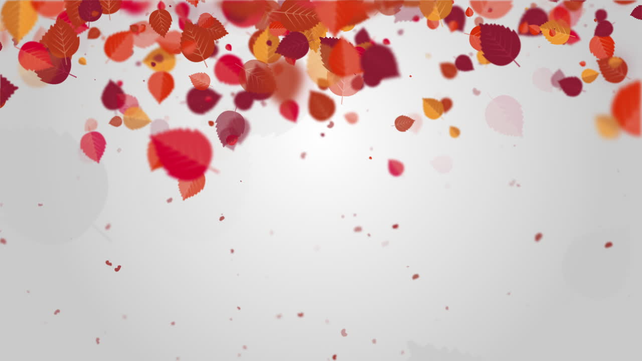 Red autumn leaves of trees falling down. White art background with animated colorful leaf. Looped motion graphics. Copy space.