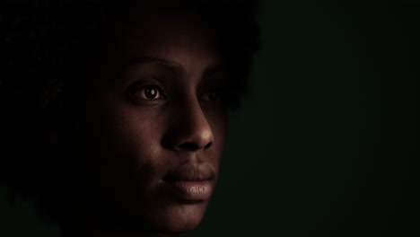 beauty portrait of african american woman