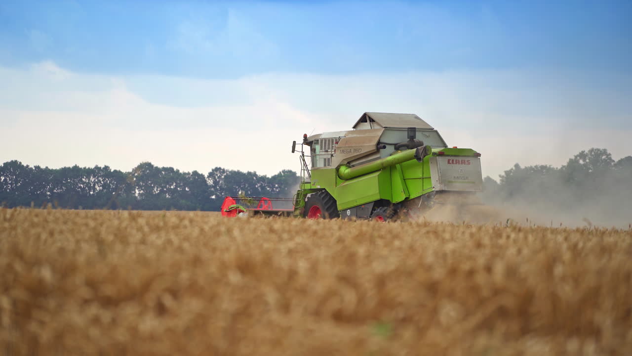 밀 에서 일 하는 수확기