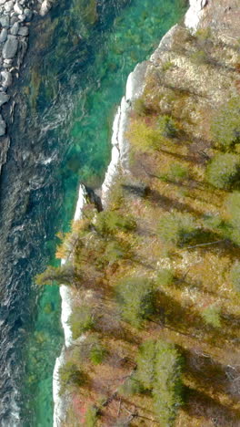 emerald river through mountain forest