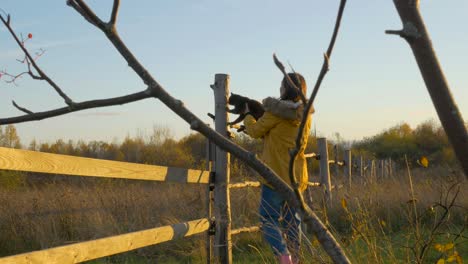 life on the farm. girl sits a cat on a wooden fence