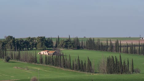 Timelapse-of-wind-waving-trees-in-rural-area