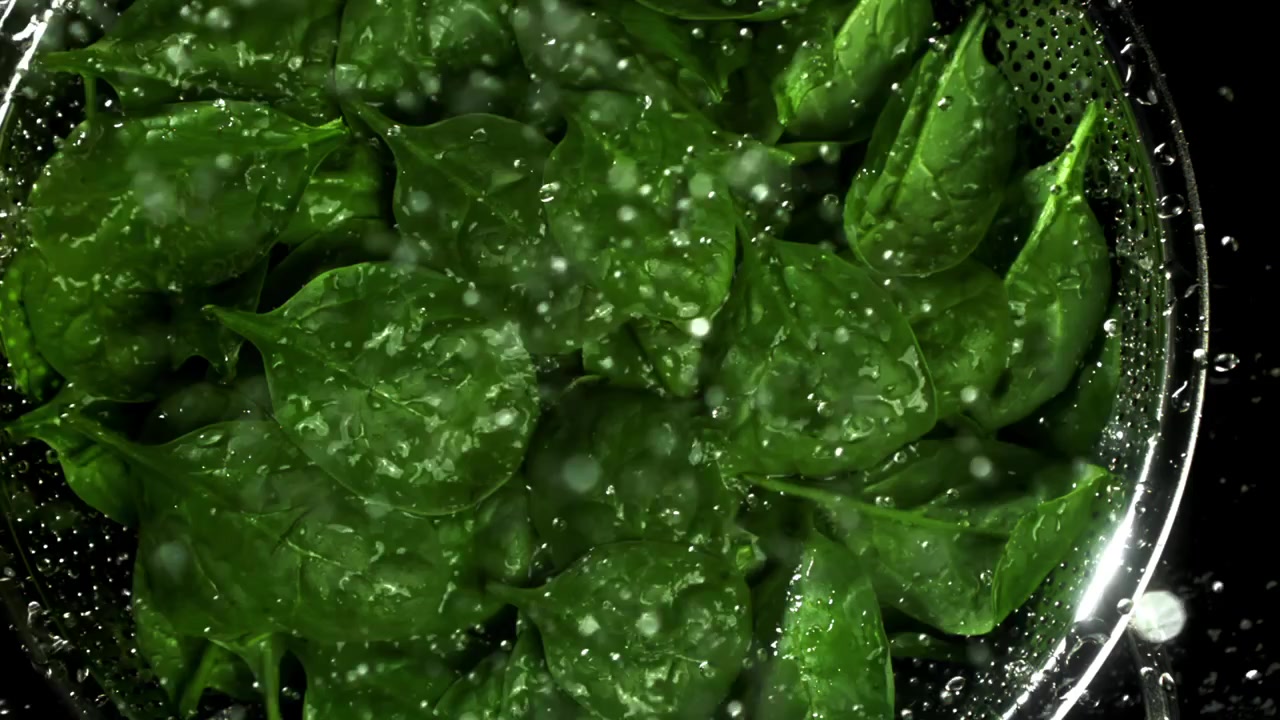 Foglie fresche di spinaci verdi lavate con acqua