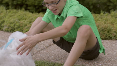 cute boy plays with his dog outside in the front yard, slow motion