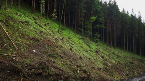 Heavily-torn-hillside-devoid-of-trees,-clear-cutting-along-mountain-way-on-overcast-day