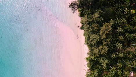 sea waves washing upon white sand koh kood beach with palm jungle