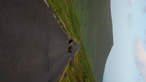 Toma-Vertical-De-Dos-Ovejas-Solitarias-En-Medio-De-Una-Carretera-De-Montaña-En-Eysturoy,-Islas-Feroe.