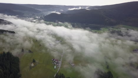 vuelo aéreo sobre exuberantes tierras de cultivo verdes cubiertas de nubes bajas de niebla