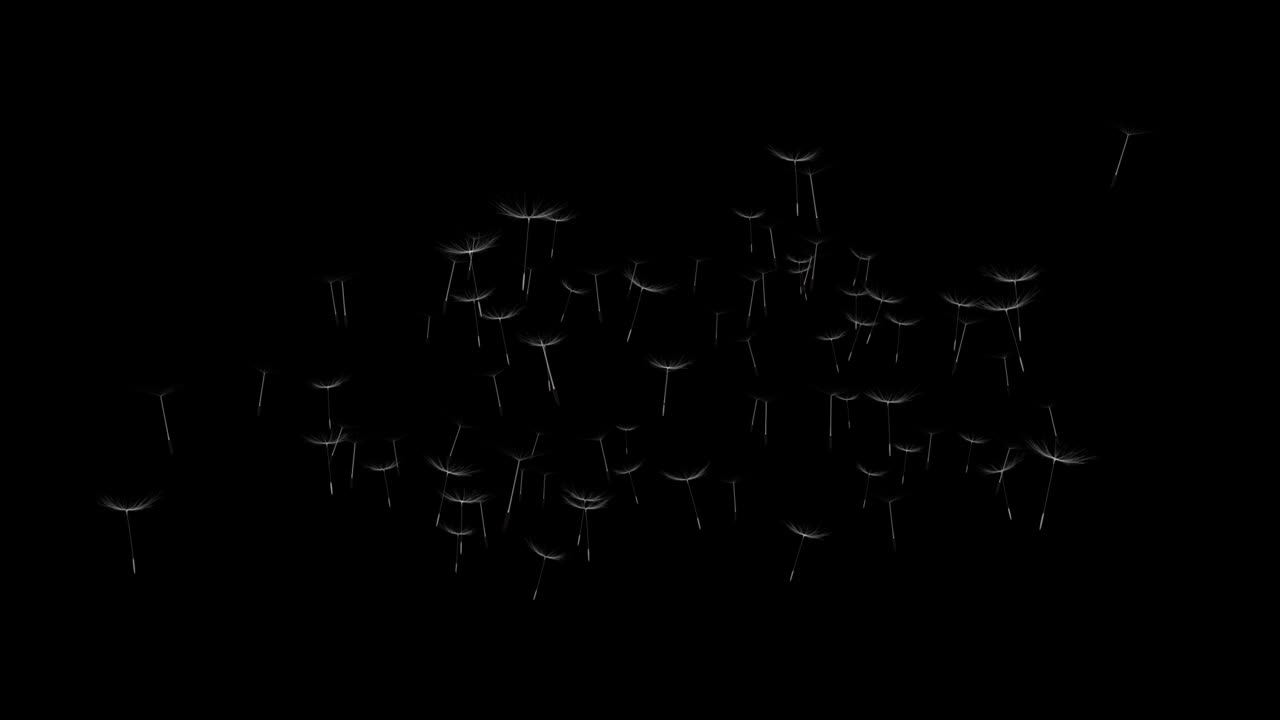 불꽃이 자라는 4k 애니메이션과 바람의 루프 배경에 뿌리는 씨.