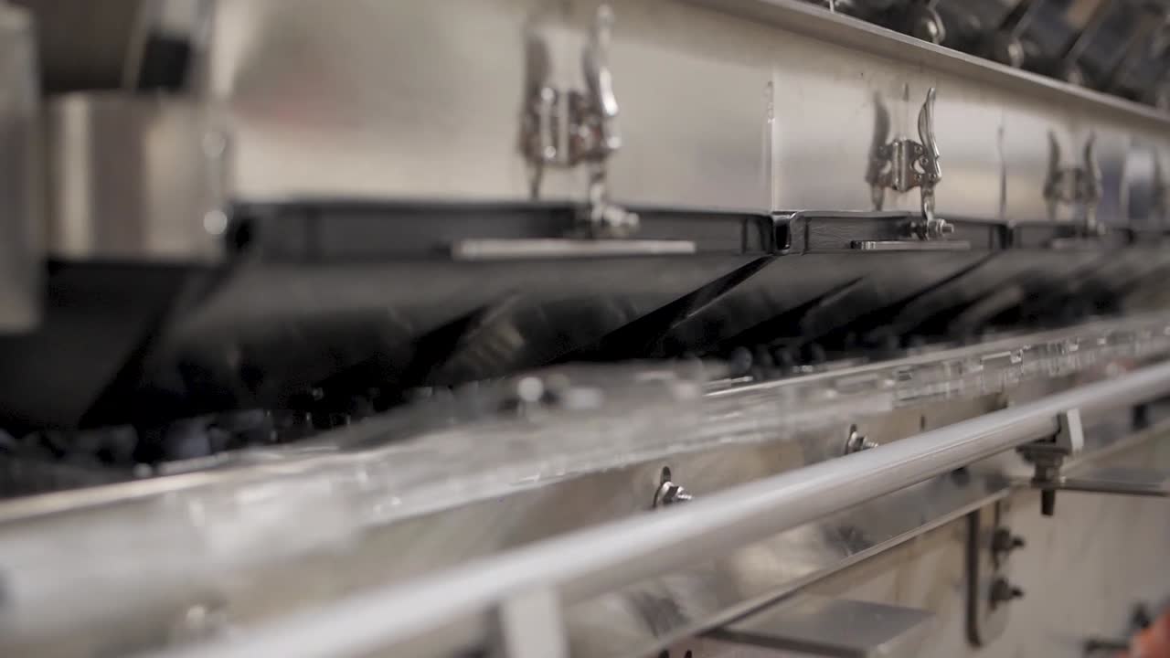 블루베리 가공 및 포장 공장