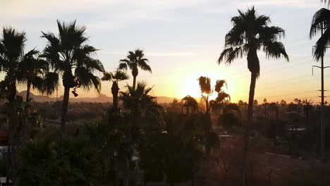 Puesta-De-Sol-Con-Siluetas-De-Palmeras-En-Arizona---Vista-Aérea-épica