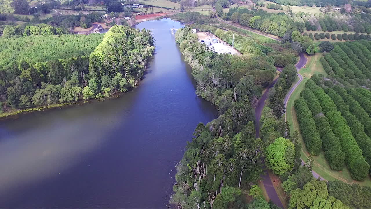 Ripresa aerea con drone di una grande piantagione di macadamia e terreno agricolo australiano a Byron Bay, NSW
