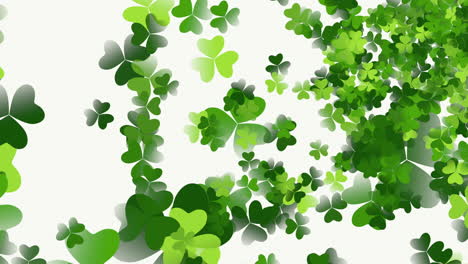 motion green shamrocks with saint patrick day 5