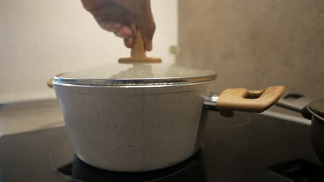 cooking in a speckled pot on an induction stove