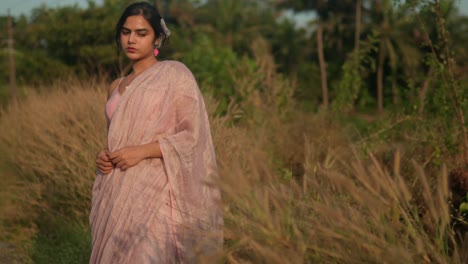 Frau-In-Rosa-Saree-Steht-Nachdenklich-Im-Goldenen-Feld,-Weicher-Fokus,-Dämmerungslicht