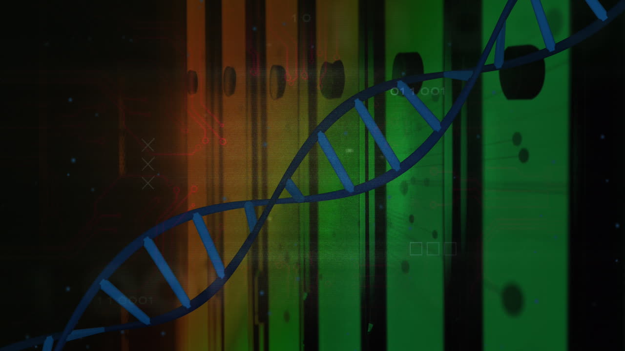 컴퓨터 서버를 통해 dna  ⁇ 의 애니메이션과 데이터 처리