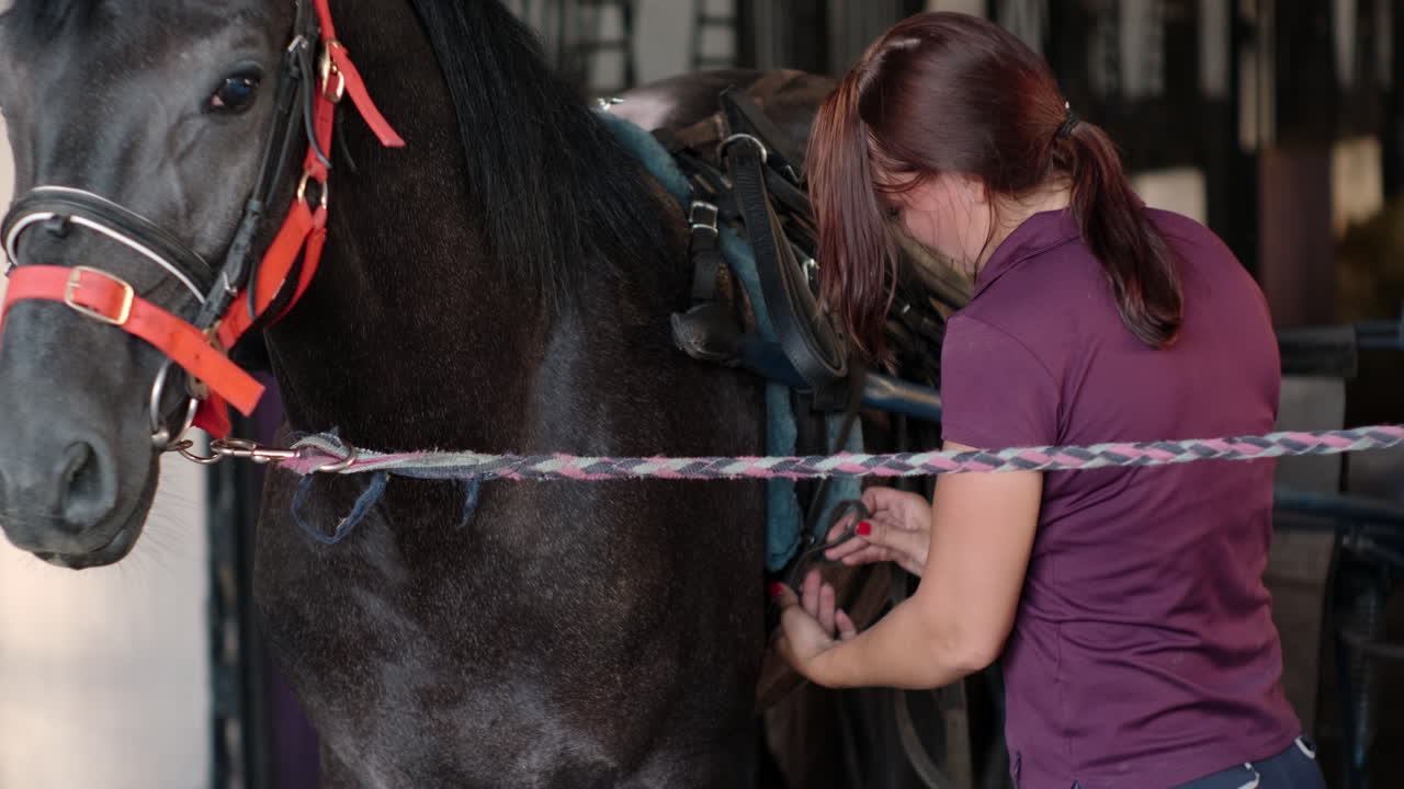 mujer preparando un caballo para montarlo