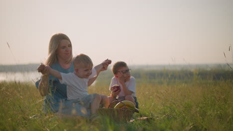 a joyful mother in a blue dress shares a tender, playful moment with her young son sitting on her lap, lifting his hands in the air. his older brother sits nearby, eating fruit from a picnic basket