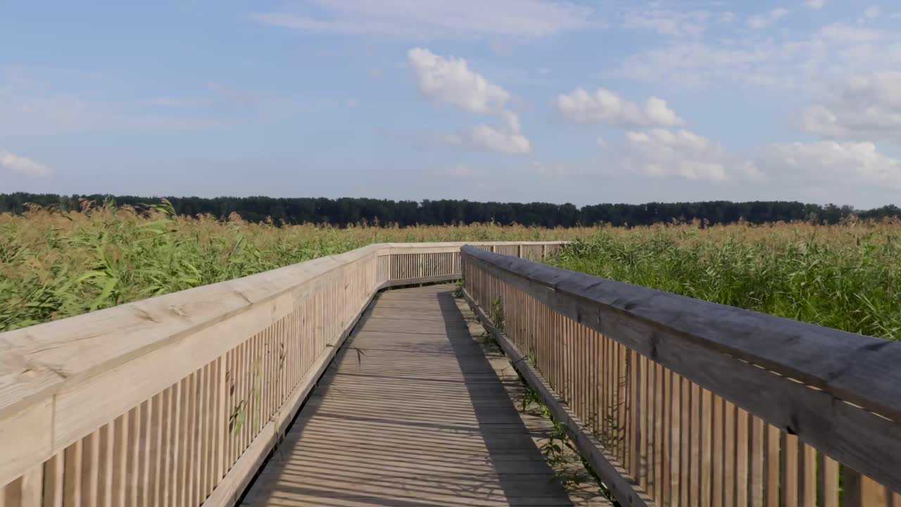 나무판자 길을 걷는 영화적 시점 영상