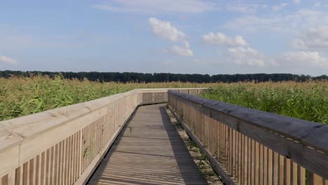 cinematic point of view video of walking along wooden plank path