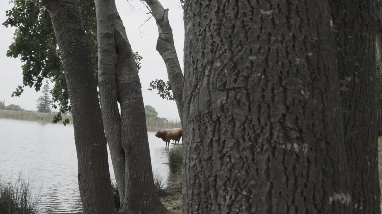 бутик устойчивой животноводческой фермы