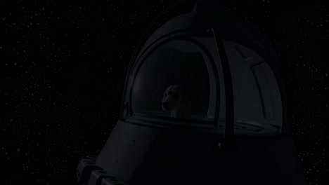 dog in space