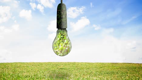 Animation-of-light-bulb-full-of-plants-hanging-over-blue-sky-and-grass