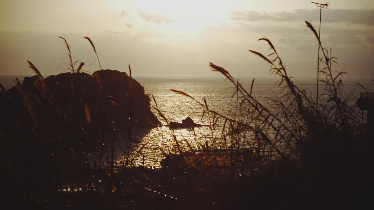 Serene Golden Hour Sunset Over Ocean Through Silhouetted Grass