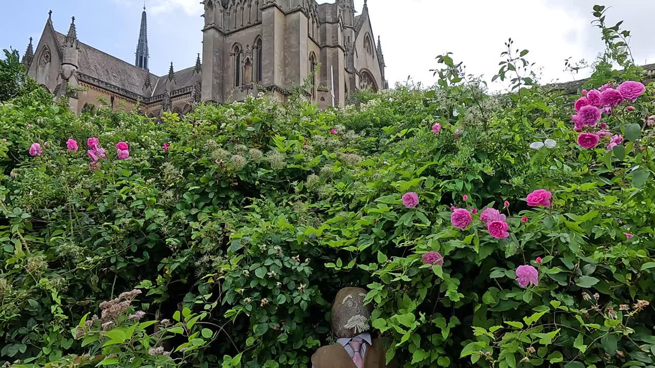 성당 근처 의 장미 정원 에 앉아 있는 사람