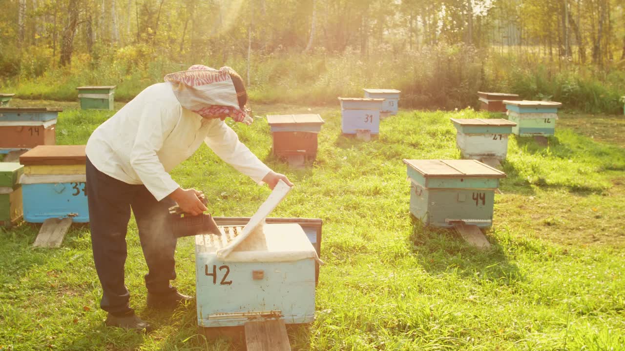Beekeeper Inspecting Beehives