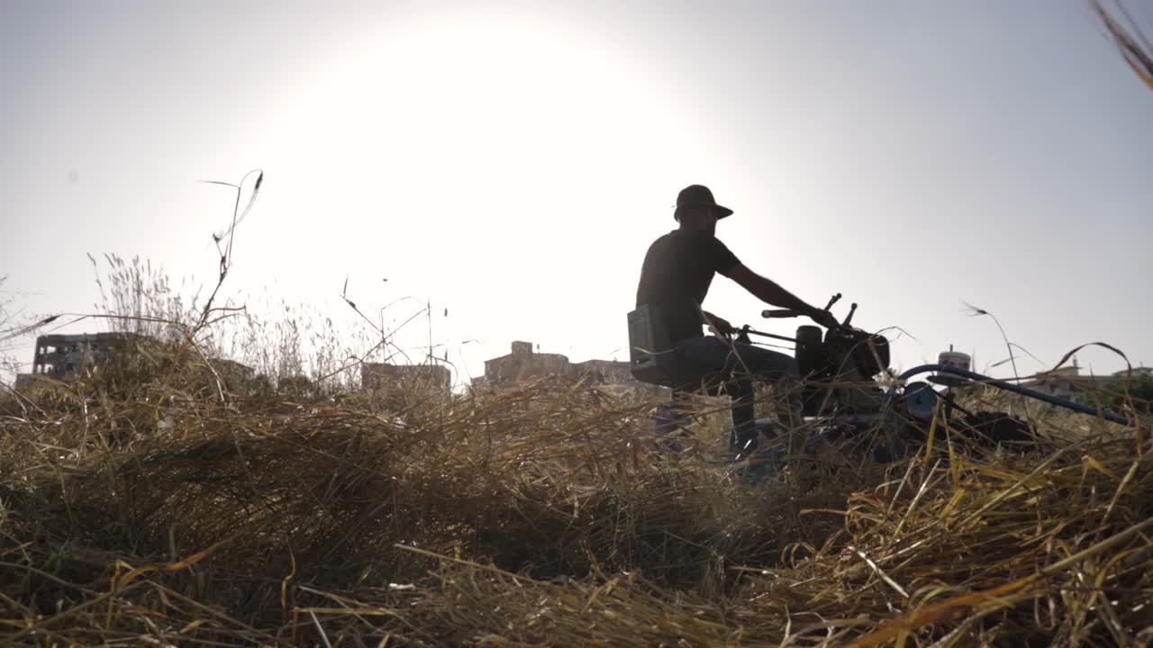 산업 밀 수확 기계를 타고 하늘에 밝은 흰색 태양이 있는 석양 속으로 들어가는 성인 남성 농부의 낮은 각도, 느린 동작 정적