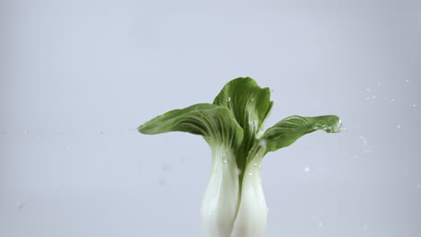 pak choi spinning with water