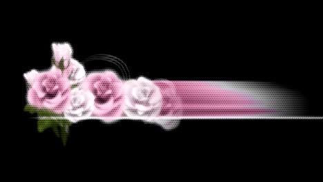 animated moving motion background showing moving flowers rose petals white chrysanthemum