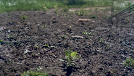 vista de ángulo bajo del viejo rastrillo oxidado que se usa para limpiar los escombros del jardín