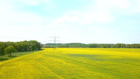 Vista-Aérea-Del-Floreciente-Campo-De-Canola-Con-Carretera-Y-Poste-De-Energía-En-El-Fondo